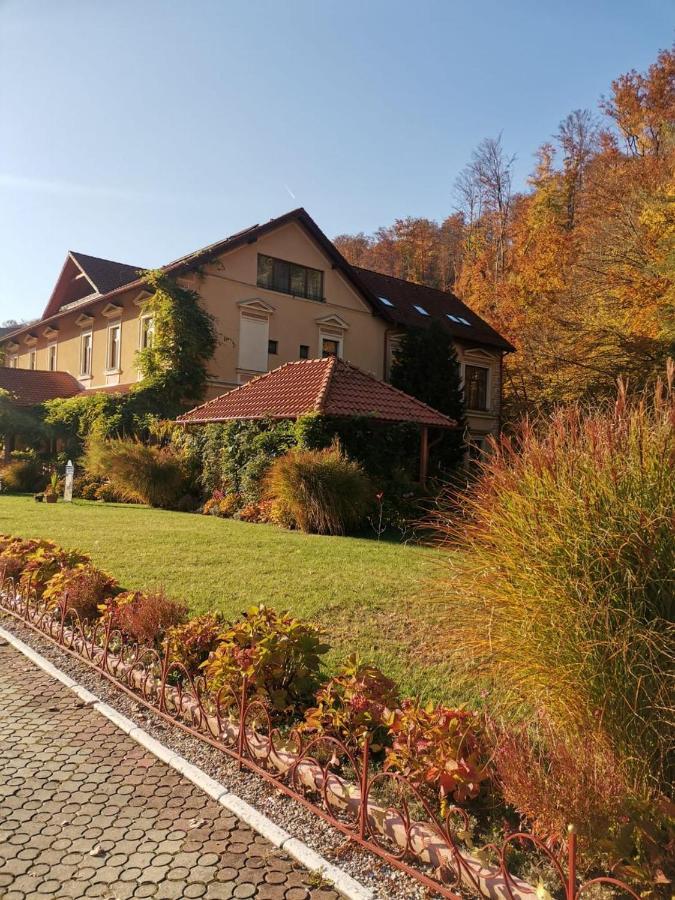 Vila Cerbul Albastru Moneasa Exterior photo