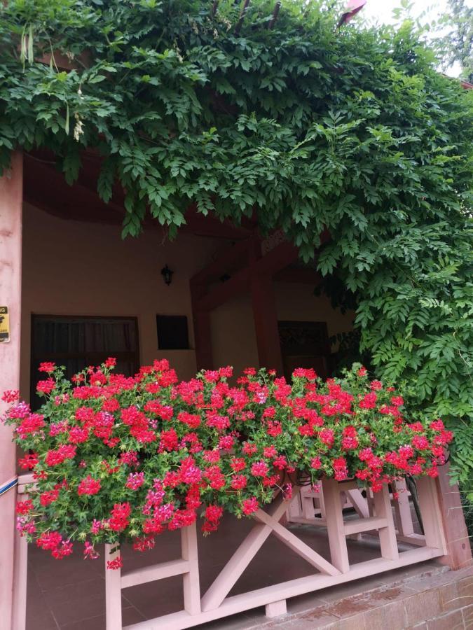 Vila Cerbul Albastru Moneasa Exterior photo