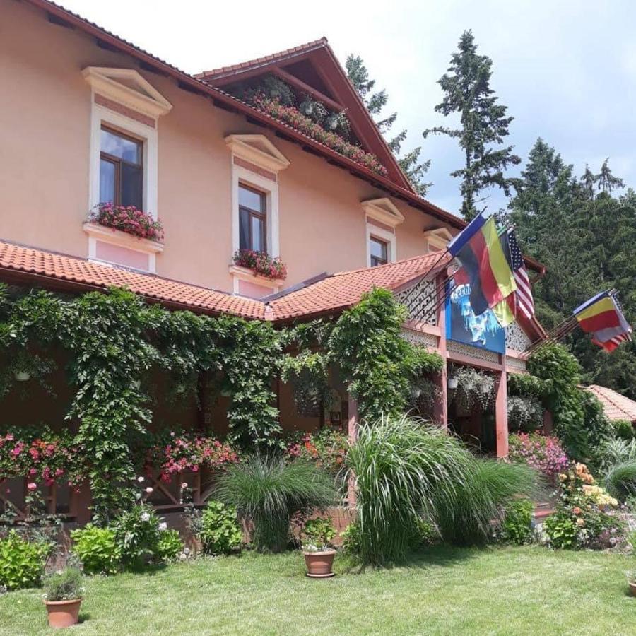 Vila Cerbul Albastru Moneasa Exterior photo